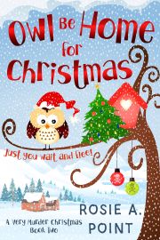 Cover of Owl Be Home for Christmas